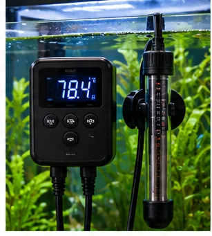 Two Aquarium Heaters vs One Large Heater: Redundancy, Placement and Failure Risk editorial aquarium equipment image